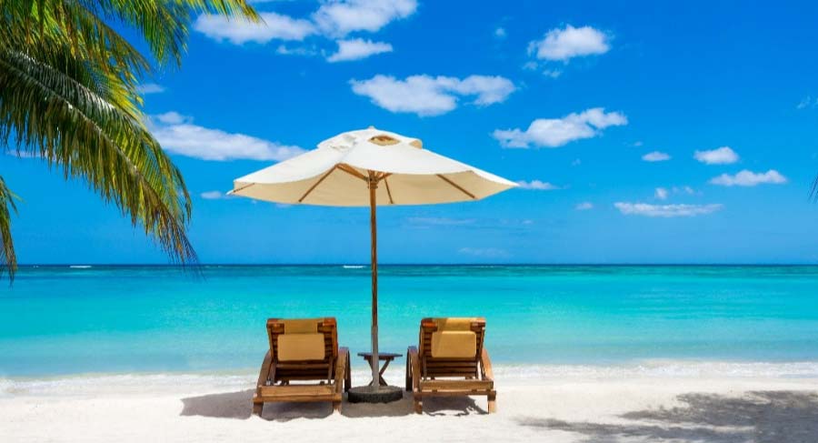 ideallic beach scene with palm tree and sun loungers