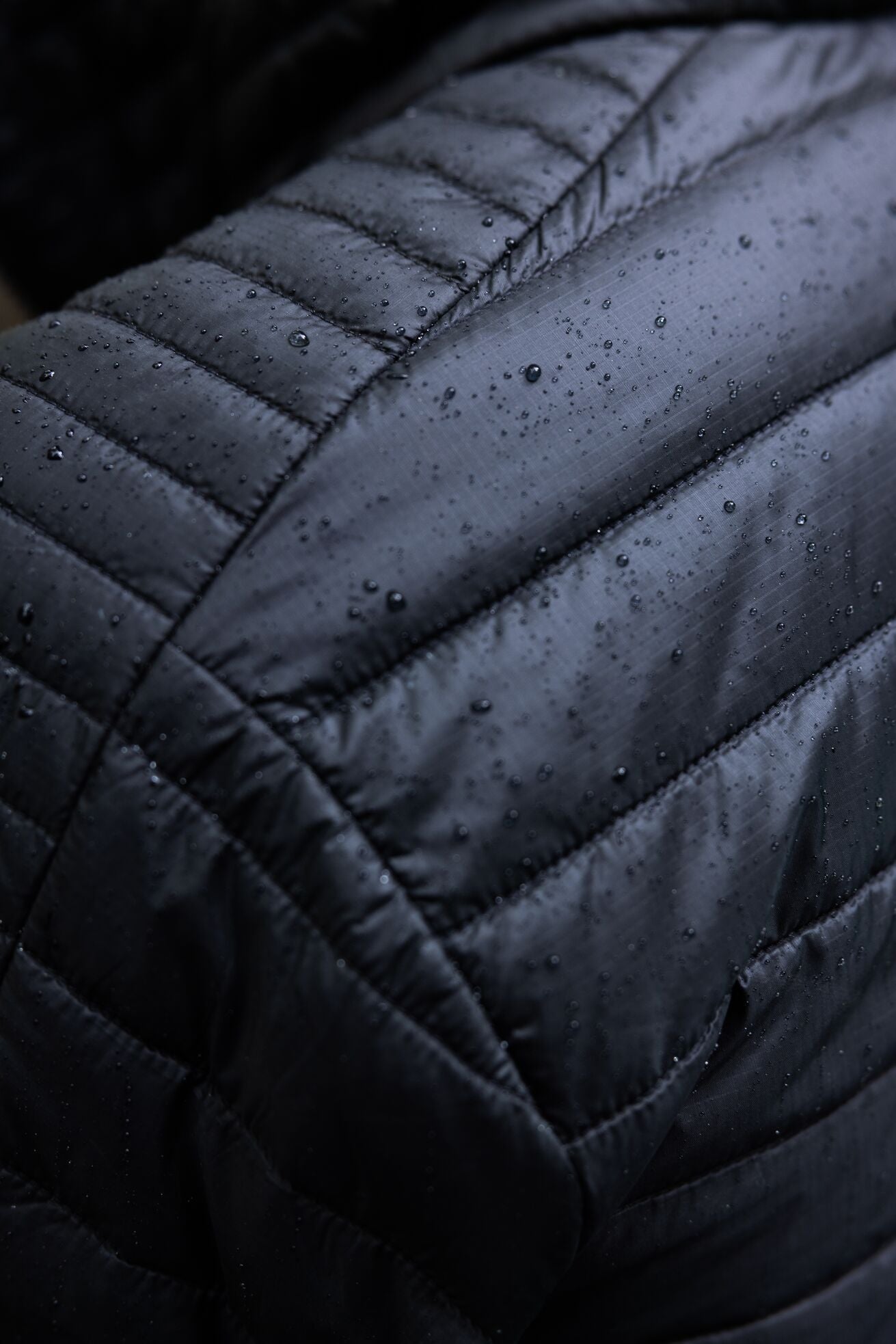 synthetic jacket close-up