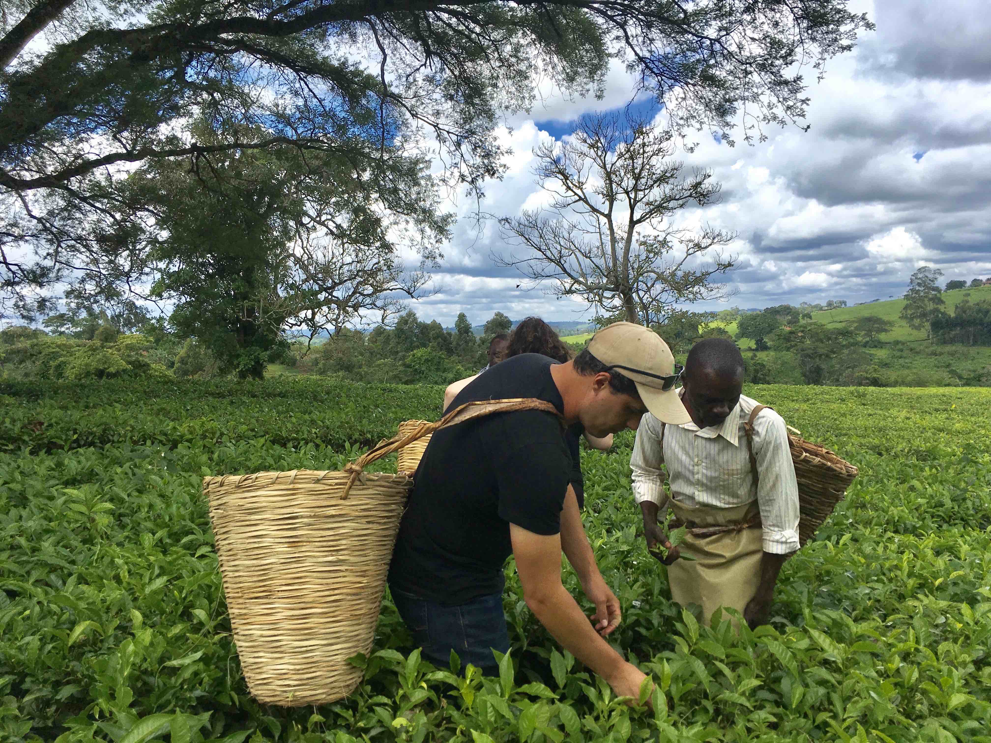 conservation work in Uganda 