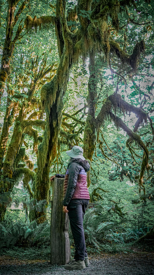 standing in the forest