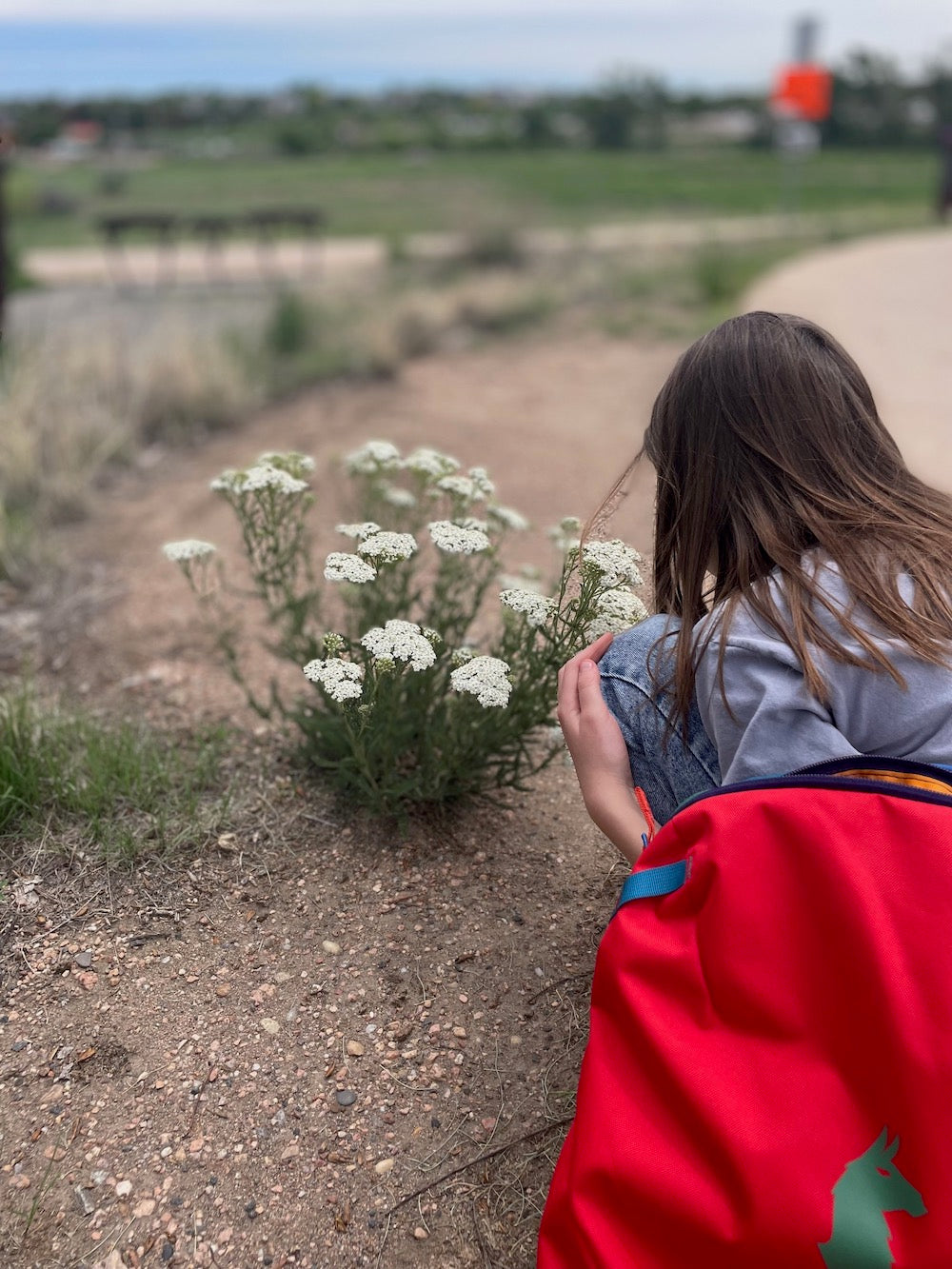 A girl looking at flowers 