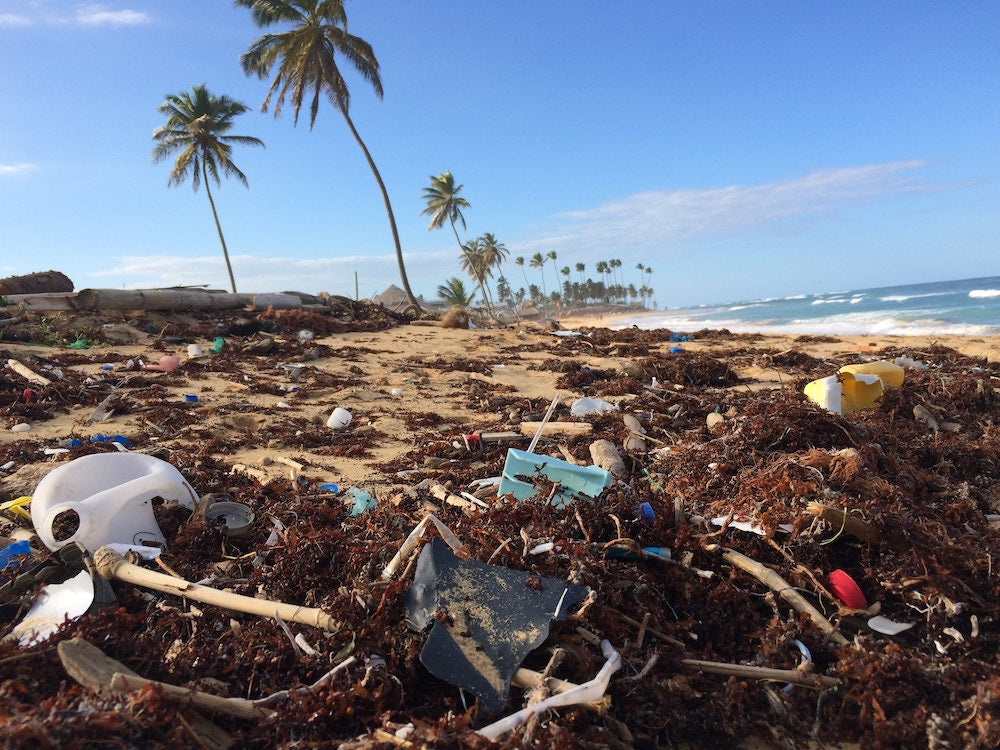 trash on a beach