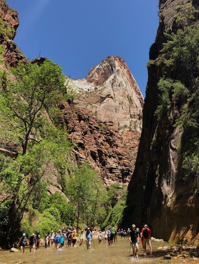 tourists in the Narrows at zion
