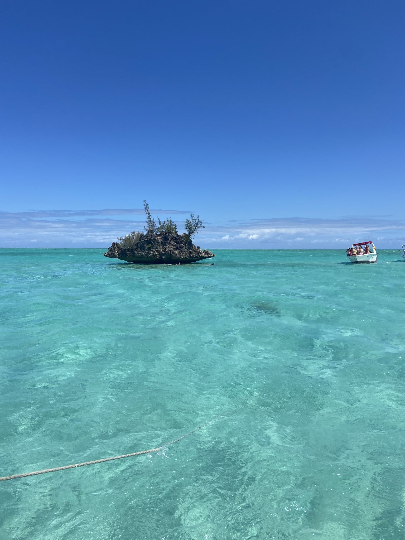 Guided boat tour in Mauritius with beautiful coral reefs