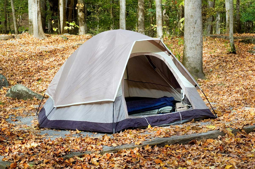 Autumn Camping Tips For Kids 