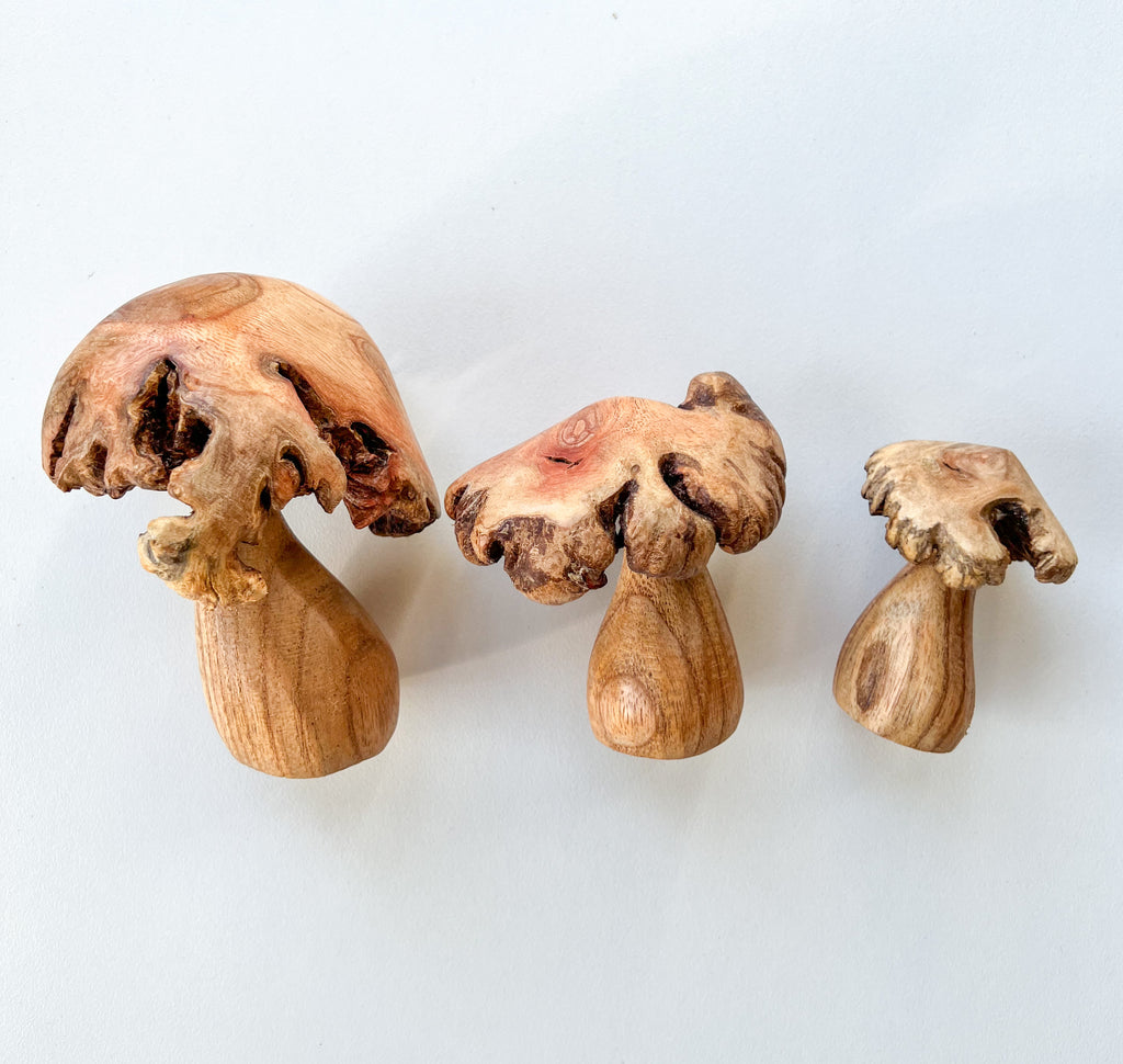 Carved Wooden Mushrooms 