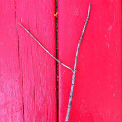 Y shaped stick on red background