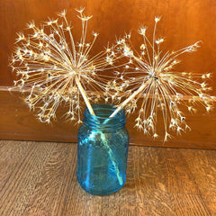 Dried Allium in blue vase