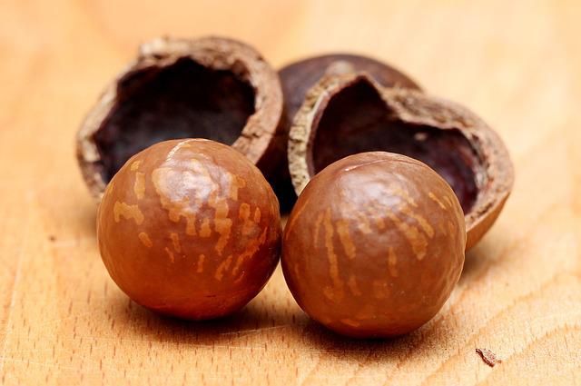 Nueces de Macadamia para Aceite Natural - Aromaterapia Tenerife