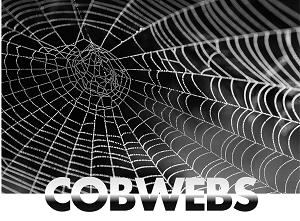 spiderweb machine hire rental