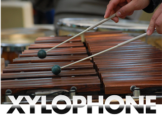 xylophonist