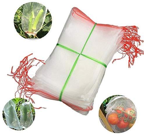 Plants Fruits Protection Bags