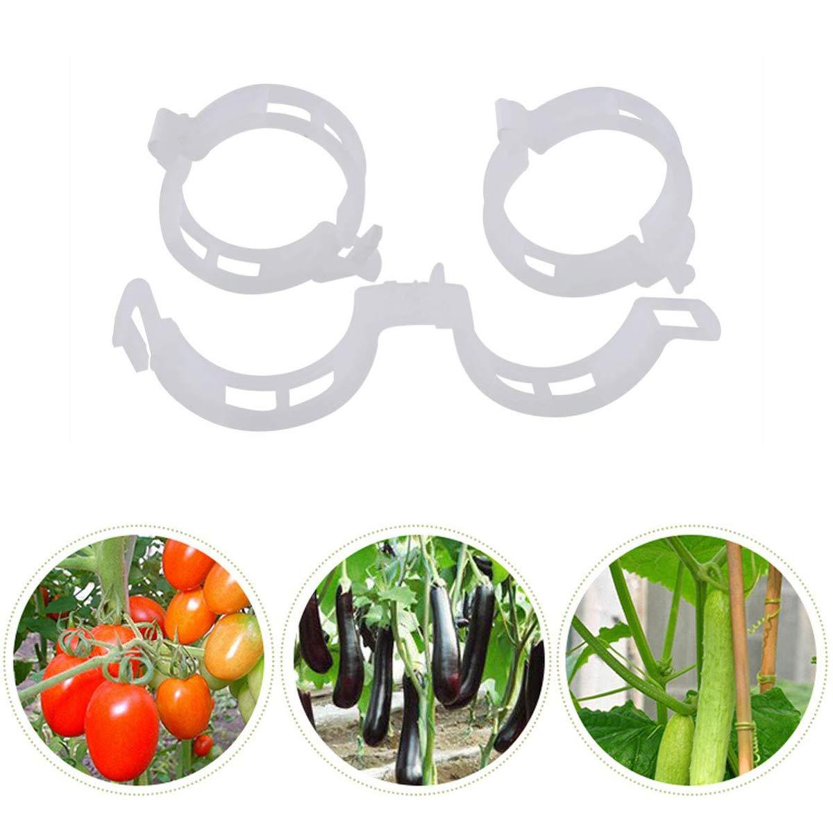 mini plant clips support tomatoes peppers vine plants and flowers