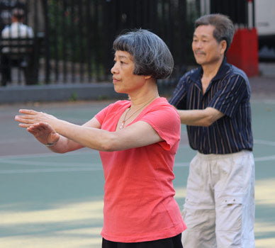 Lin Sai Ying Tai Chi Chinatown NYC