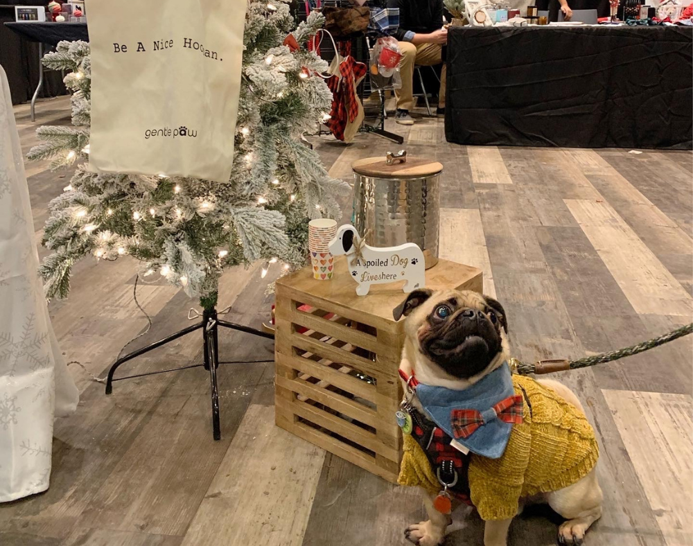 Dog friendly holiday market