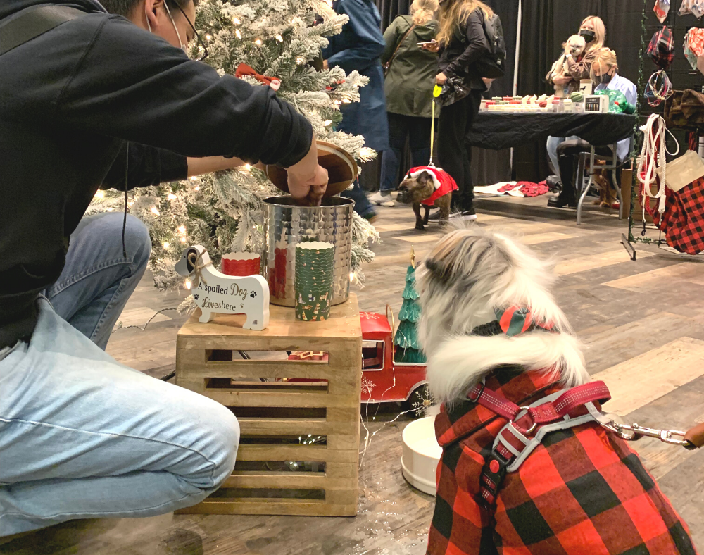 Dog friendly holiday market