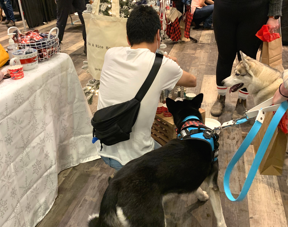Dog friendly holiday market