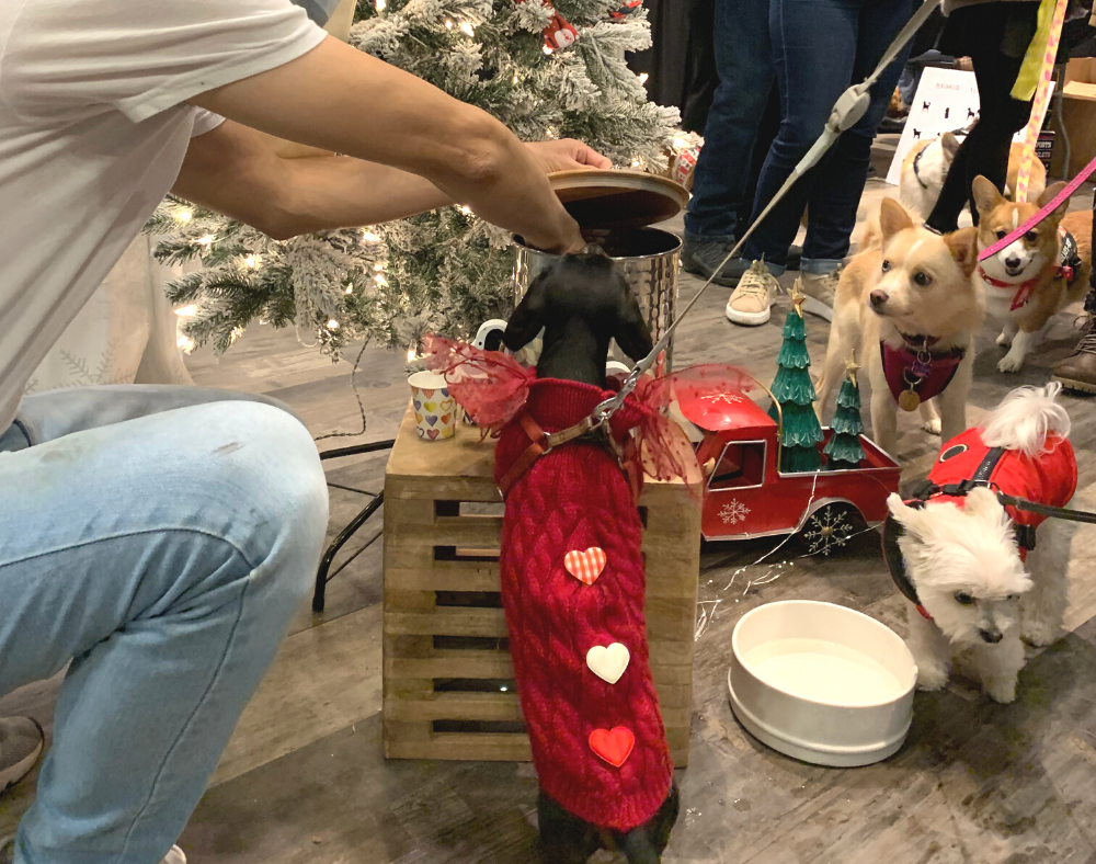 Dog friendly holiday market