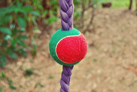 rope and tennis ball dog toy