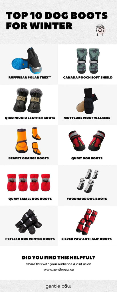 Top 10 Dog Winter Boots 