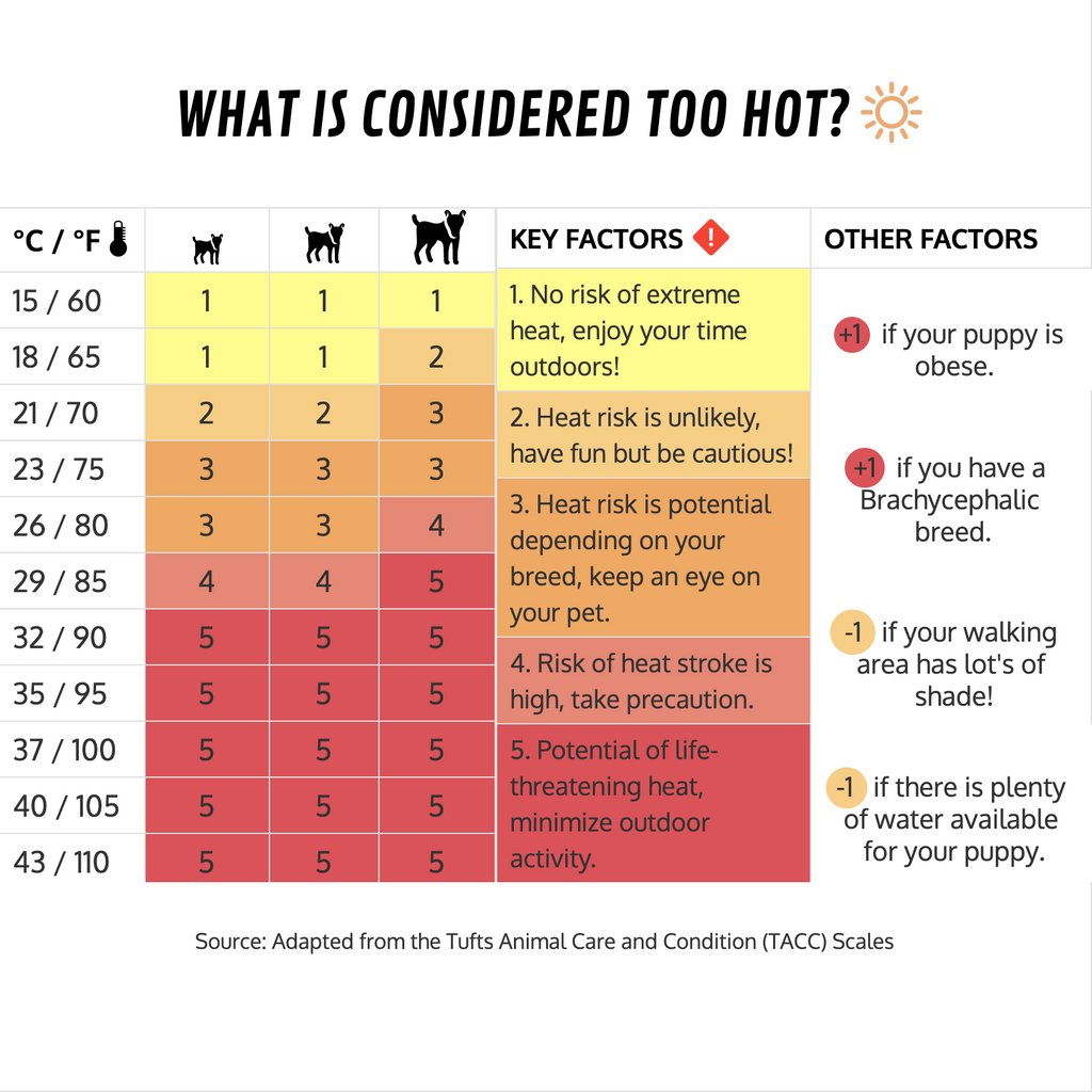 what is considered too hot for your puppy