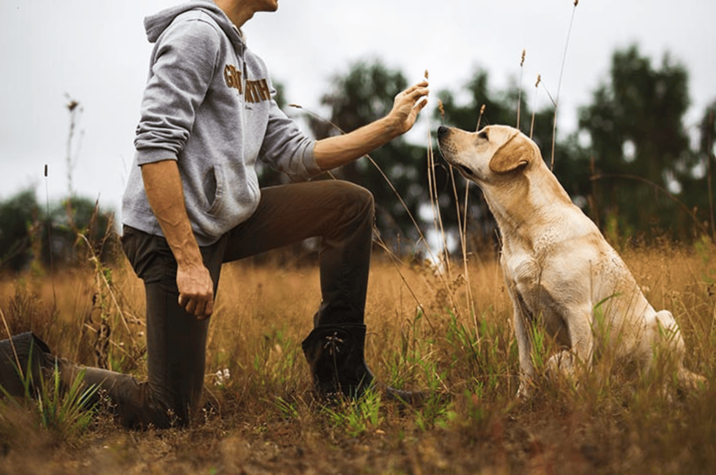 dog and owner in field