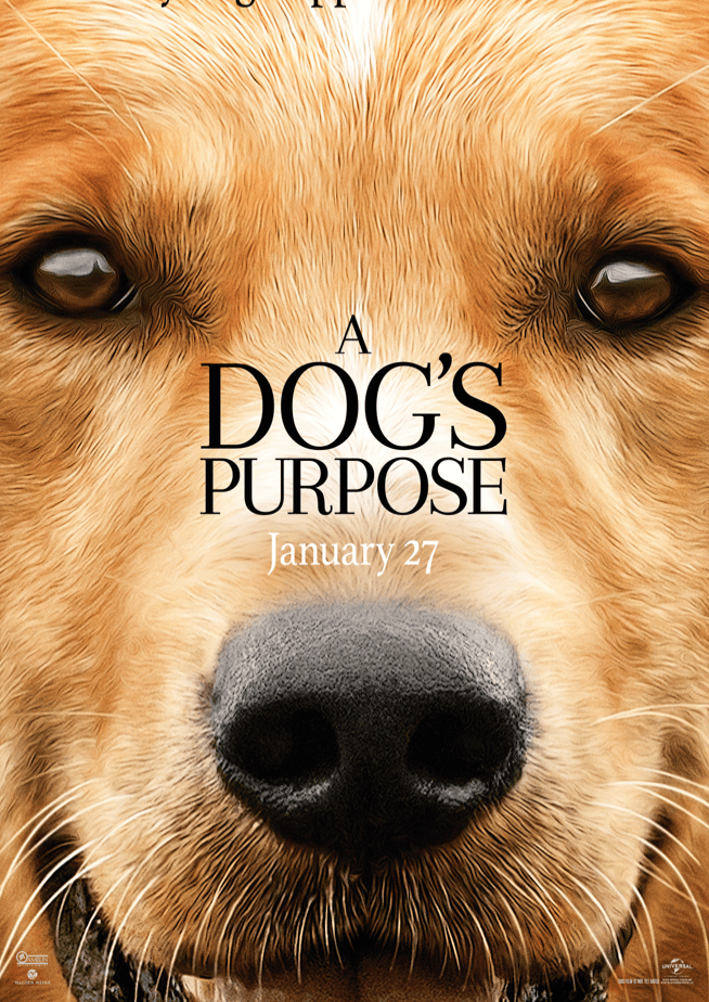 a dog's purpose