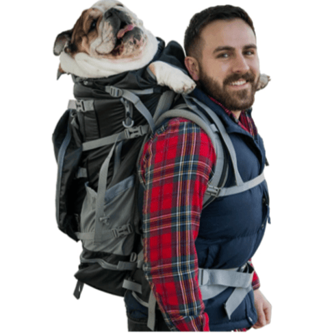 dog backpack