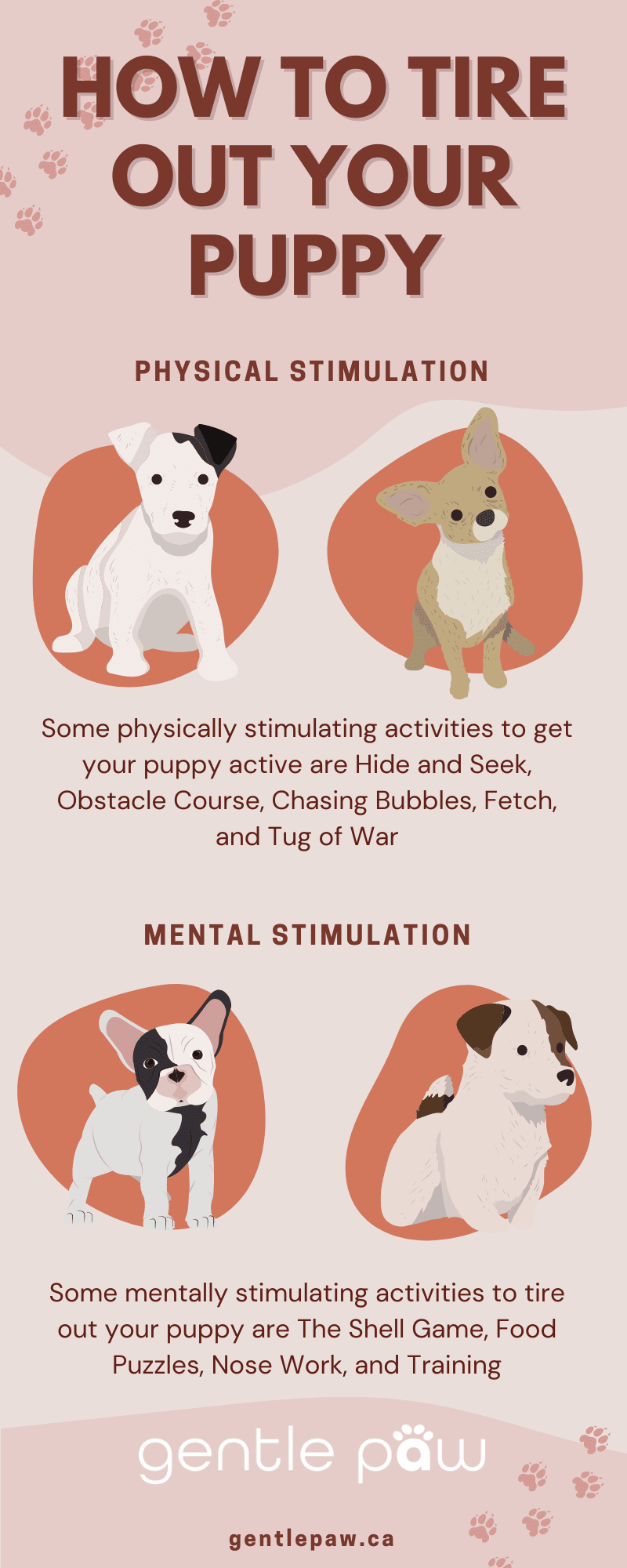 how to tire out your puppy infographic