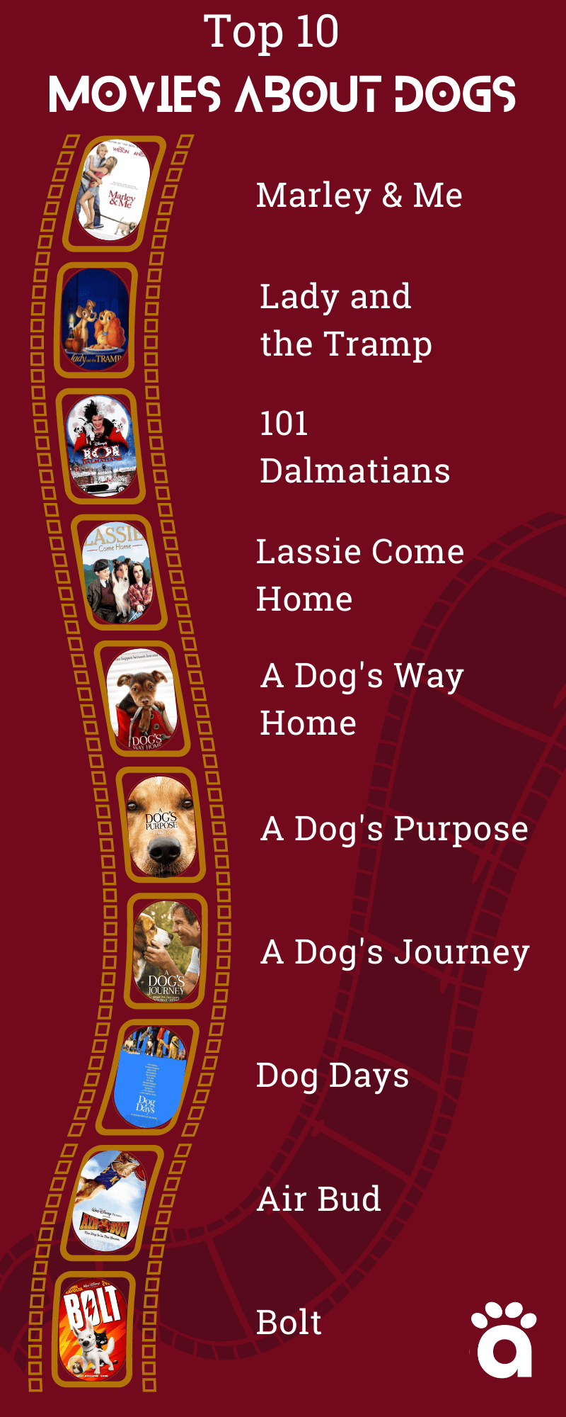 top 10 movies about dogs infographic