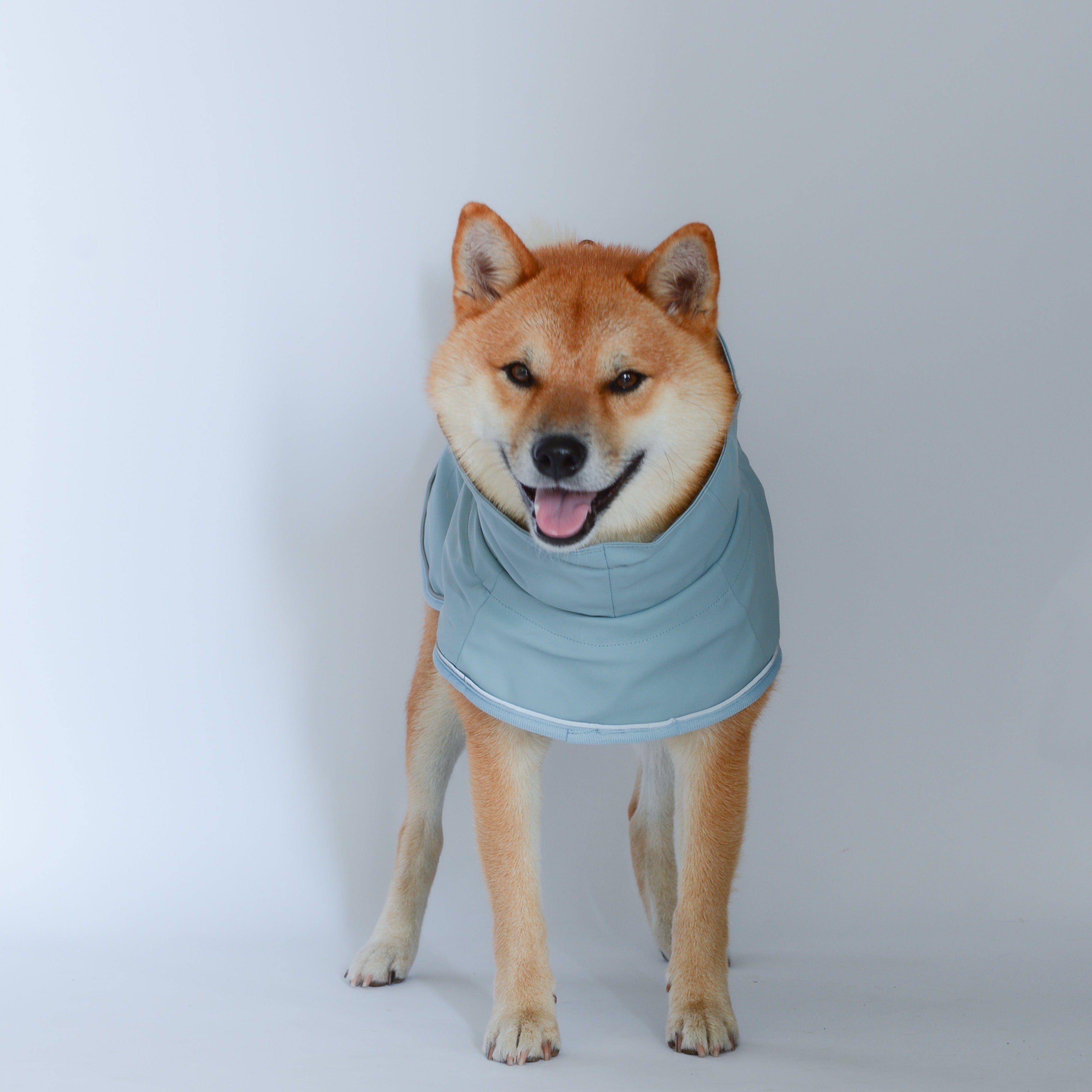 Hilo Dog Raincoat | Best Waterproof Rain Jacket of 2022 By Gentle Paw