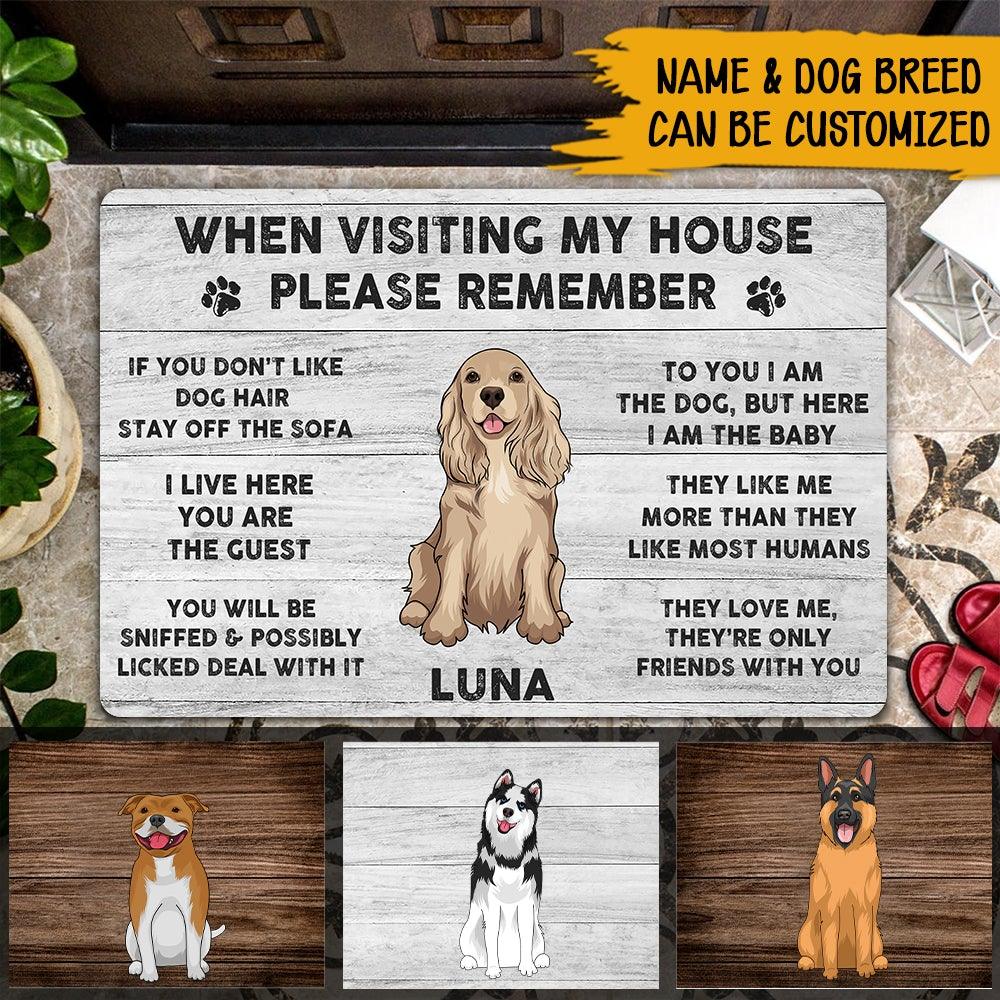 how big should my house be for a dog