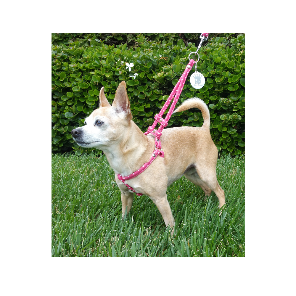 easy step in dog harness