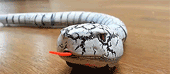 self moving snake toy for cats
