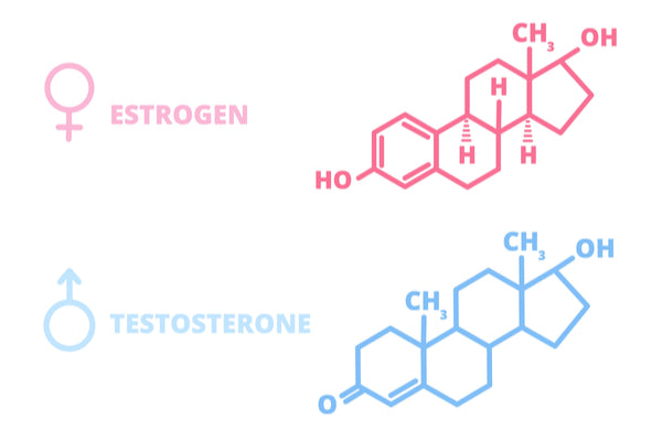 hormone