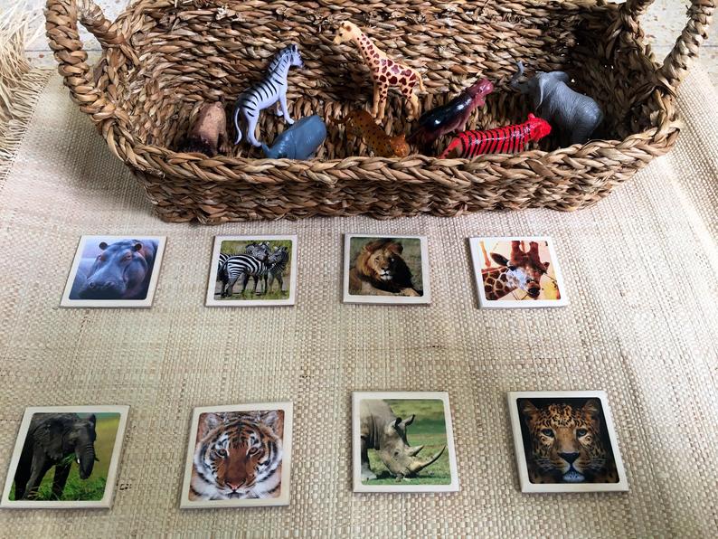 Matching Activity Wild Animals - Object To Card Montessori Waldorf