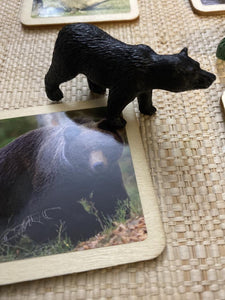 Matching Activity Wild Animals Miniature - Object To Card Montessori Waldorf