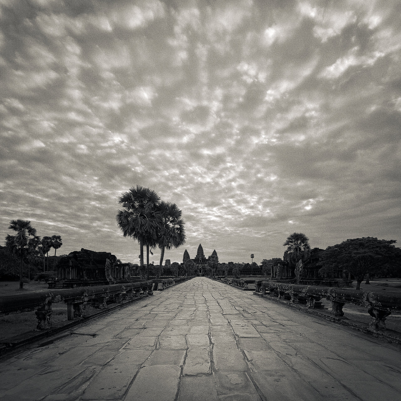 Causeway, Angkor Wat Temple, Cambodia. 2020 by Lucas Varro