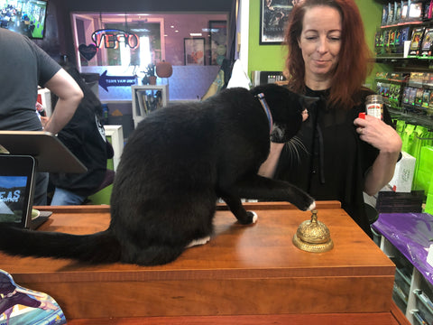 Geeky Teas founder Donna Ricci and her shop cat, Mr. President