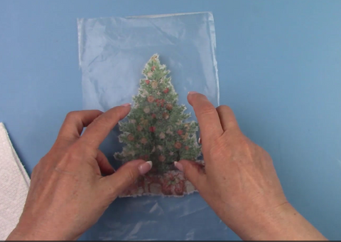 Laying green christmas tree on plastic sprayed with water