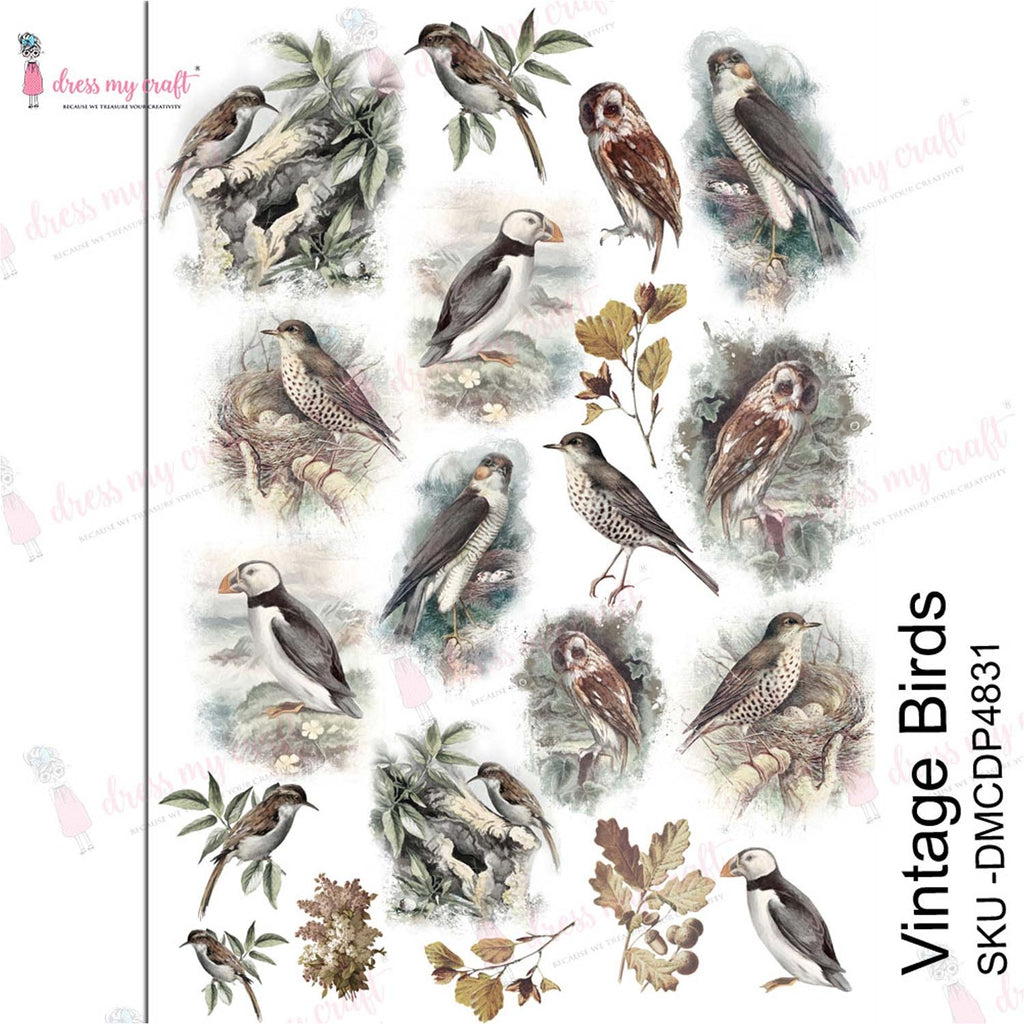 SET OF 3 pieces Tit bird kraft wrapping paper – MYDESIGNPICTURES