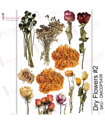Diy Flowers For Crafts Vintage Dried Flowers For Notebook Clip Art  Materials - Temu Mexico