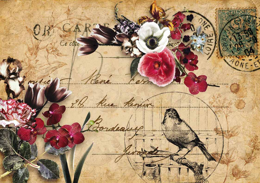 DECOUPAGE QUEEN DECOUPAGE PAPERS - HUMMINGBIRD SONG 0119 – 2ChattyChicks