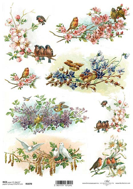 Hummingbird Decoupage Sheet, Floral Rice Paper, DIY Craft Paper D81 – Pam  Branch Designs