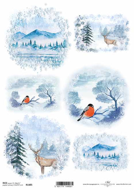 Snowed In Cardstock Stickers 12X12-Elements - 793888098091