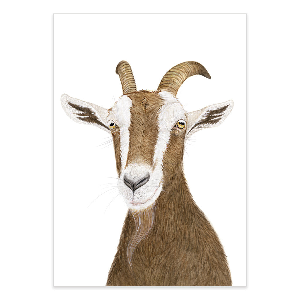 goat pictures to print