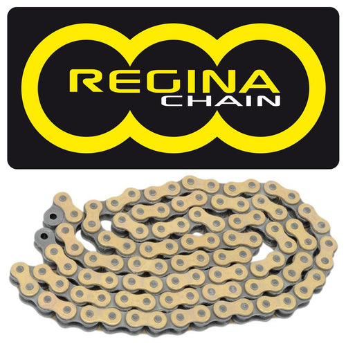 REGINA EBS/ORO GOLD 520×102 TRIALS Chain