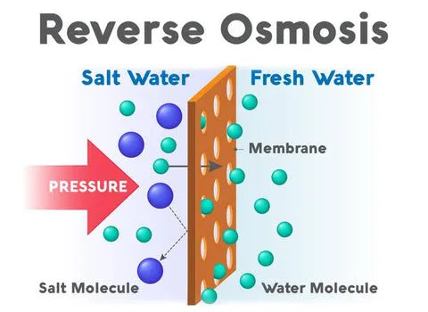 Picture of reverse osmsosis process