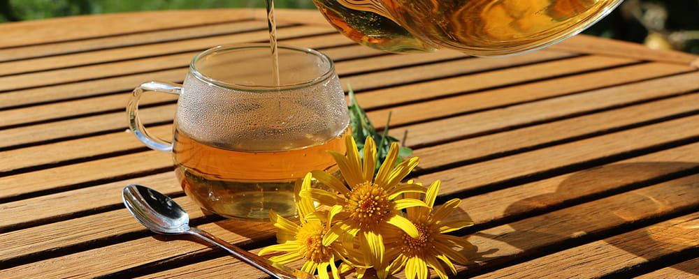 Infusion et tisane arnica contre la cruralgie