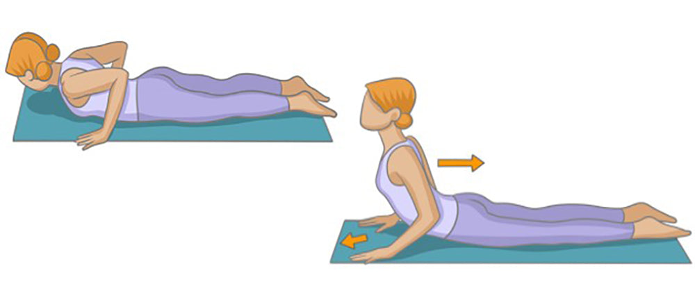 Yoga : Pose du Cobra pour renforcer les muscles stabilisateur du dos